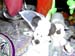 DSCN3728